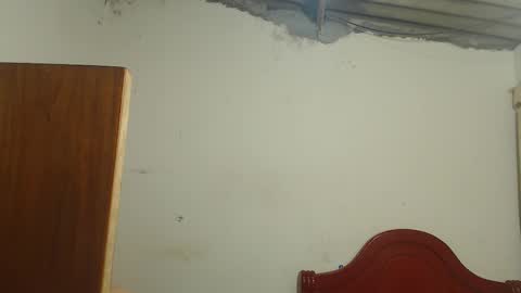 Dylon online show from November 9, 9:29 am