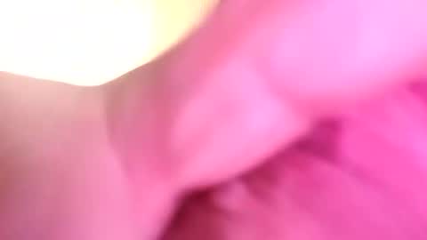 dazzaboxer online show from November 16, 1:44 am