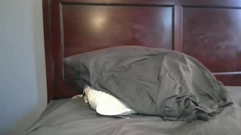 dbm1620 online show from November 2, 8:33 pm