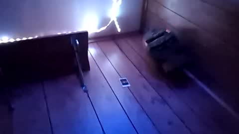 Alexander online show from December 19, 2:02 pm