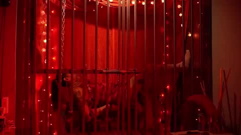 Snapshot of ddevourskitty chatting on February 15, 5:37 am D Devours Kitty online show from February 15, 5:37 am