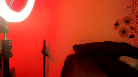 venus  adam online show from December 4, 2:31 am