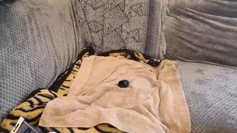 deepandwet86 online show from February 28, 10:05 am