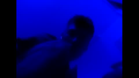 deezzee_5280 online show from February 26, 9:08 am