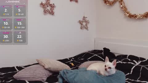 Snapshot of demiamour chatting on December 25, 10:50 am Demi. not your babybabebb and other shit online show from December 25, 10:50 am