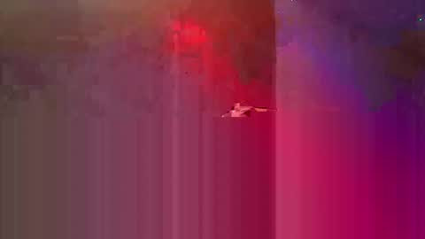 Snapshot of den2807 chatting on May 3, 10:49 pm den2807 online show from May 3, 10:49 pm