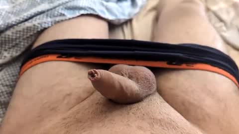 Snapshot of denis647 chatting on February 17, 2:04 pm LilRoach online show from February 17, 2:04 pm