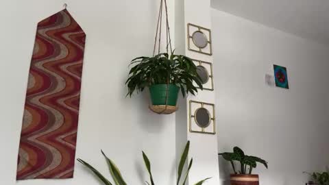 Desidias online show from October 22, 9:03 pm