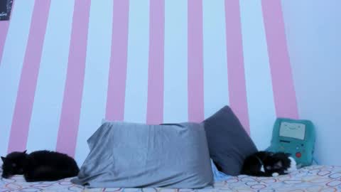 Johana online show from March 17, 2:16 am