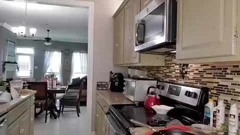 Dextercollins online show from March 18, 3:15 pm