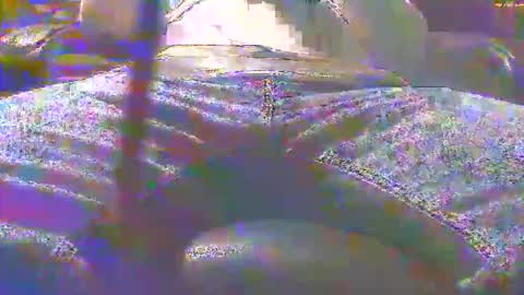 Snapshot of dfwgonewrong chatting on November 3, 4:47 am dfwgonewrong online show from November 3, 4:47 am