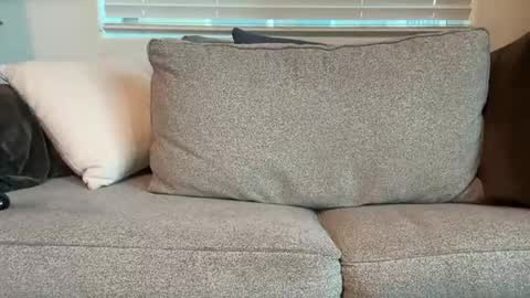 dgafsd online show from December 15, 3:27 pm