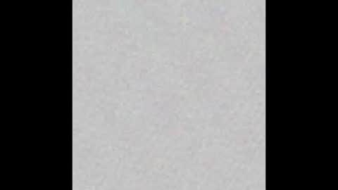 dogbrutus online show from December 22, 8:00 am