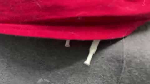 Snapshot of diag033014 chatting on February 11, 12:15 am diag033014 online show from February 11, 12:15 am