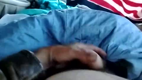 Snapshot of dickbowen64 chatting on November 1, 1:57 pm Dickbowen online show from November 1, 1:57 pm