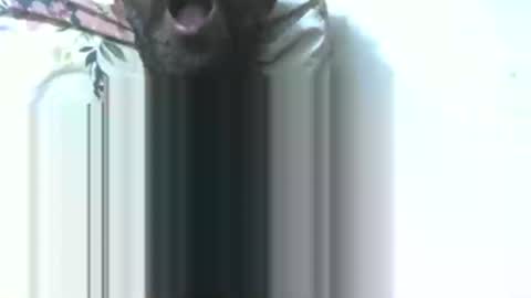 dick rus online show from January 9, 5:37 pm