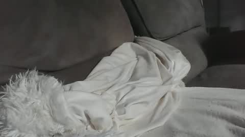 dick online show from October 25, 12:02 pm