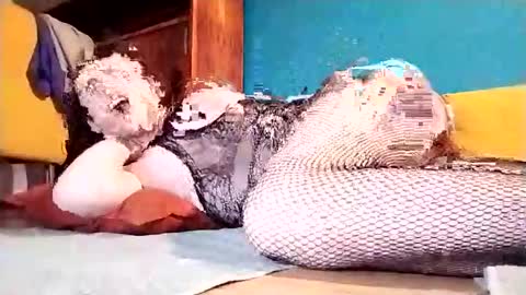 Dicky online show from March 1, 7:15 pm