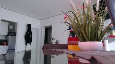 Snapshot of didiegal1 chatting on April 2, 10:57 am squirtcock online show from April 2, 10:57 am