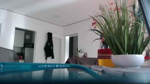 Snapshot of didiegal1 chatting on April 5, 7:38 am squirtcock online show from April 5, 7:38 am