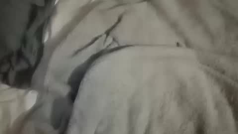 Daddy online show from October 10, 4:44 am