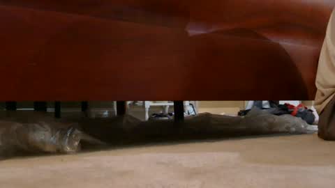 Snapshot of dildosnme22 chatting on August 3, 7:29 am dildosnme22 online show from August 3, 7:29 am