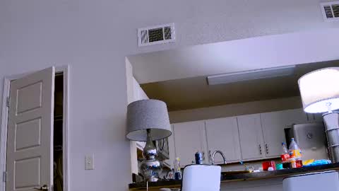 Dilldough405 online show from February 11, 9:56 pm