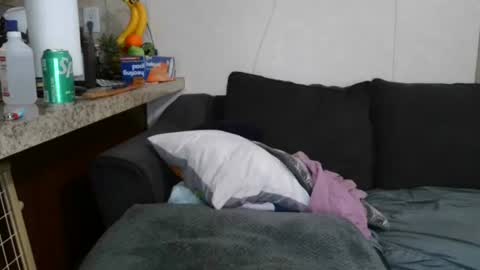 Sofie online show from November 7, 9:31 am