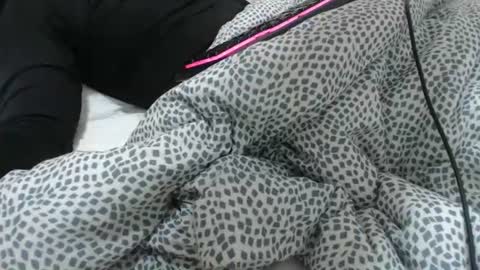 Snapshot of dirfocus chatting on February 3, 11:48 am Z online show from February 3, 11:48 am