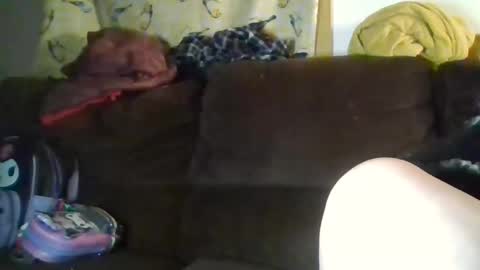 Crystal online show from January 10, 3:30 am