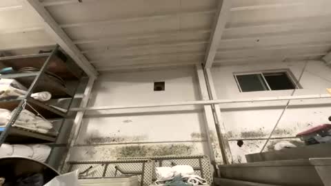 sexyguy online show from October 27, 3:21 am