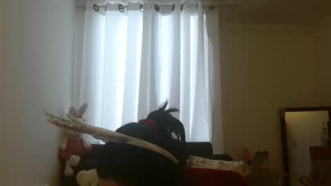 disneey2888 online show from November 12, 8:19 pm