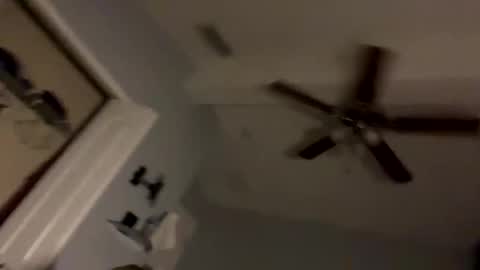 Snapshot of dixnice chatting on February 21, 7:20 am dixnice online show from February 21, 7:20 am