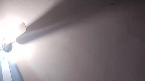 dixonbird41 online show from February 25, 6:20 pm