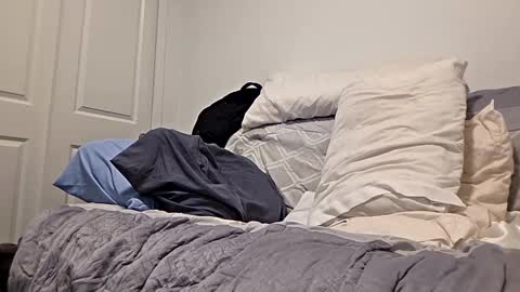 Snapshot of djaxxx_2020 chatting on March 27, 3:12 am djaxxx_2020 online show from March 27, 3:12 am