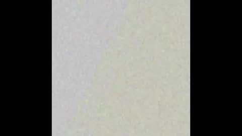 dmtuda11 online show from March 26, 7:47 am