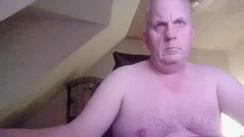 doggy2629 online show from December 15, 4:55 pm