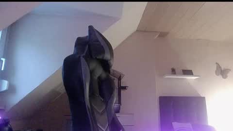 doggy2629 online show from January 6, 3:38 pm