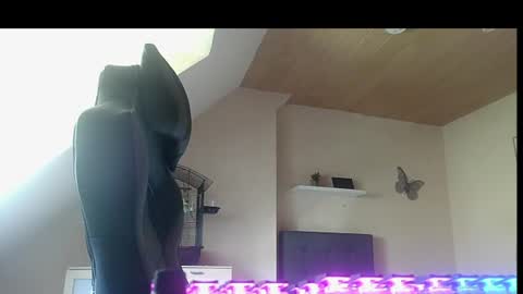 Snapshot of doggy2629 chatting on June 29, 12:05 pm doggy2629 online show from June 29, 12:05 pm