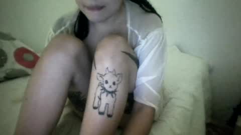 doll_dollys_ online show from July 17, 1:56 am