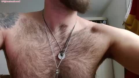 Logan - INDEPENDET MODEL online show from April 23, 12:29 pm