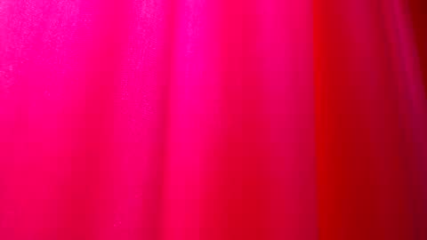 DommeTomorrow online show from February 25, 5:36 pm