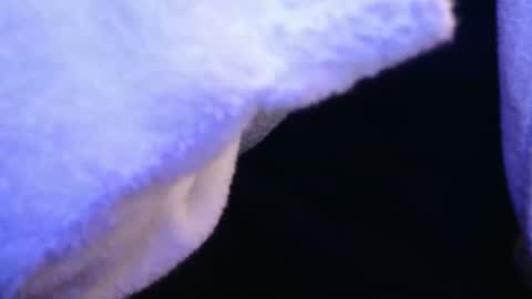 Snapshot of domse999 chatting on February 17, 11:34 am domse999 online show from February 17, 11:34 am