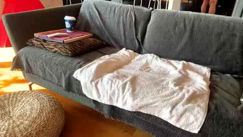 Alfredo online show from November 13, 10:58 am