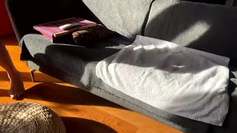 Alfredo online show from December 2, 11:59 am