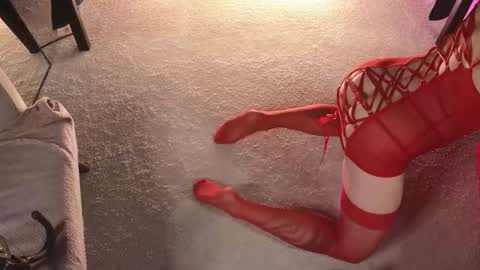 Dorothy Next stream on Monday at 3am-9am online show from November 20, 4:01 am