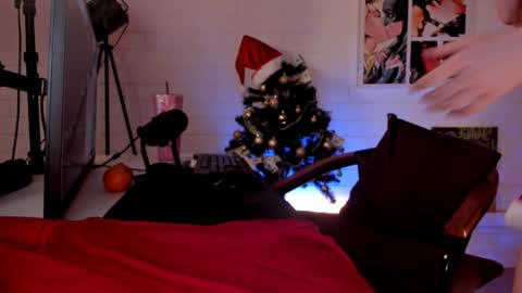    Next stream November 24    online show from December 14, 3:36 pm