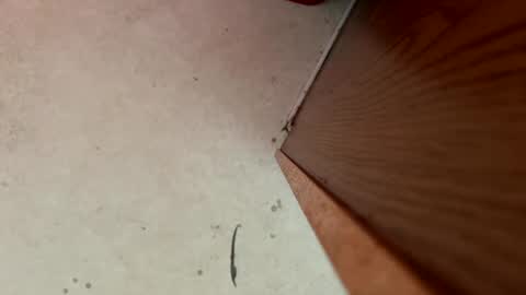 Snapshot of dragonman1219 chatting on January 13, 5:44 pm dragonman1219 online show from January 13, 5:44 pm