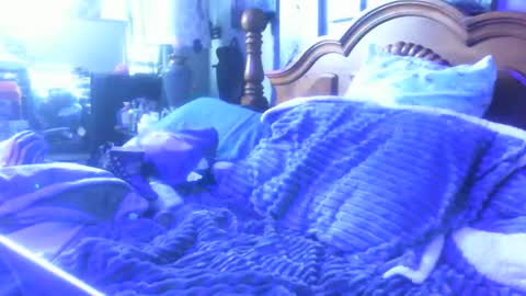 Snapshot of dreaded_folks chatting on December 16, 4:12 pm dreaded_folks online show from December 16, 4:12 pm