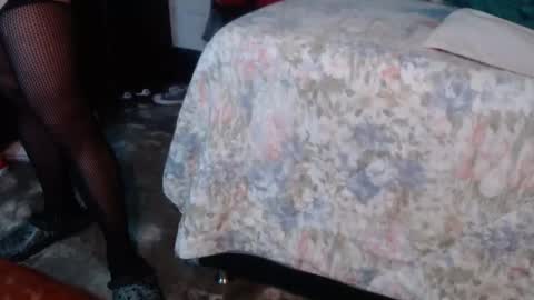 dreamreal online show from January 19, 11:23 am